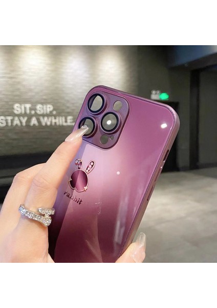 Apple iPhone 14 Pro Max Telefon Kılıfı (Yurt Dışından)