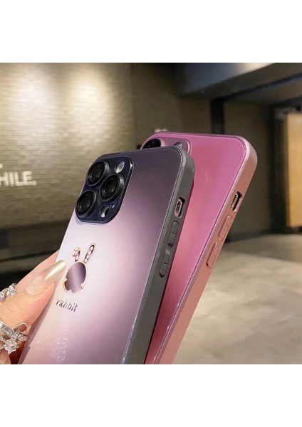 Apple iPhone 14 Pro Max Telefon Kılıfı (Yurt Dışından)