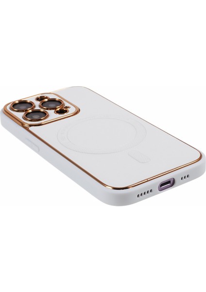 Apple 13 Pro Max Telefon Kılıfı (Yurt Dışından)