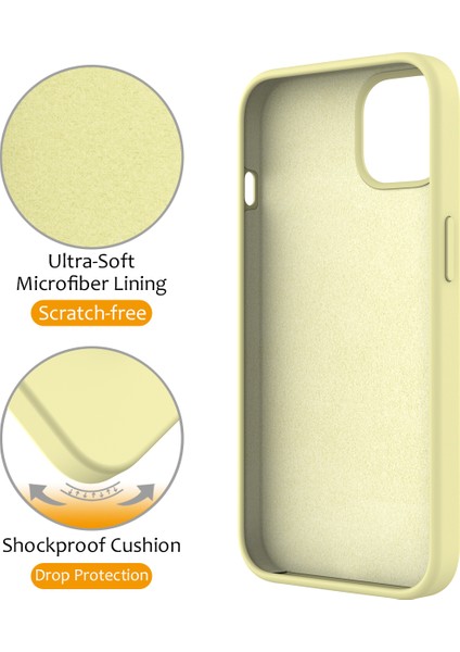 Apple iPhone 12 Telefon Kılıfı (Yurt Dışından)