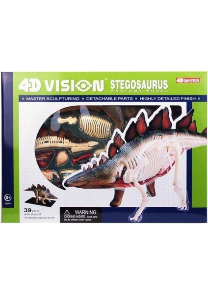 Vision Anatomi Modeli - Stegosaurus Dinozor