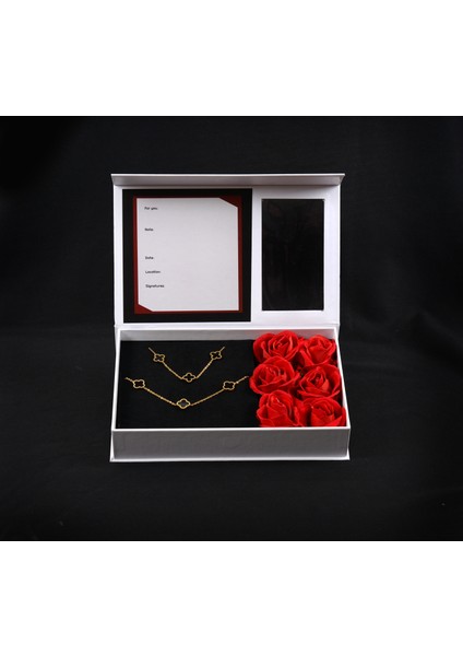 Kutulu 5li Gonca Taşlı Çelik Kolye & Bileklik Takımı