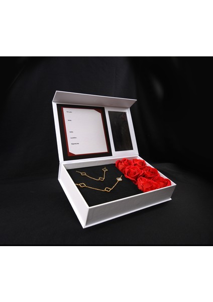 Kutulu 5li Gonca Taşlı Çelik Kolye & Bileklik Takımı modelleri