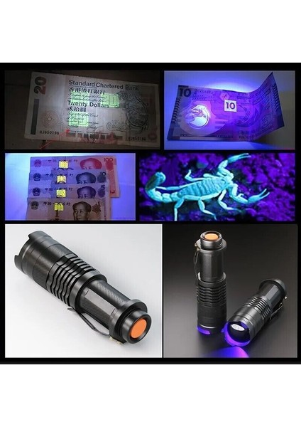 Ultraviyole El Feneri, Oje Tırnak Idrar Dışkı Tespiti, 395 Nm Uv Feneri Zoom 600 Lümen modelleri