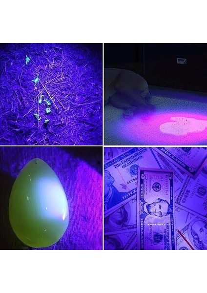 Ultraviyole El Feneri, Oje Tırnak Idrar Dışkı Tespiti, 395 Nm Uv Feneri Zoom 600 Lümen fırsatları