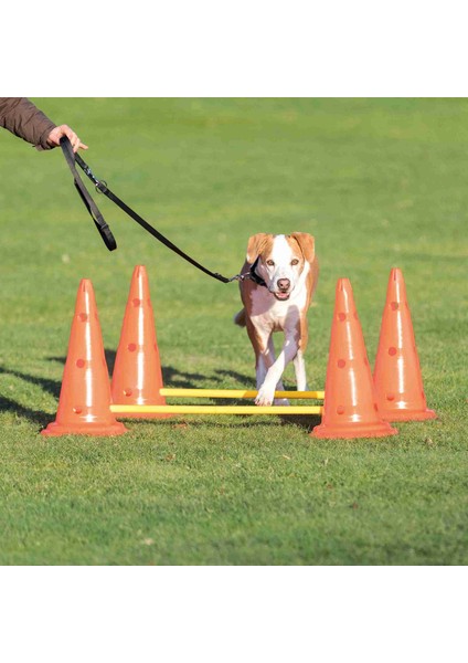 Köpek Agility Oyuncağı 2 Adet 30X50CM 100CM 326107