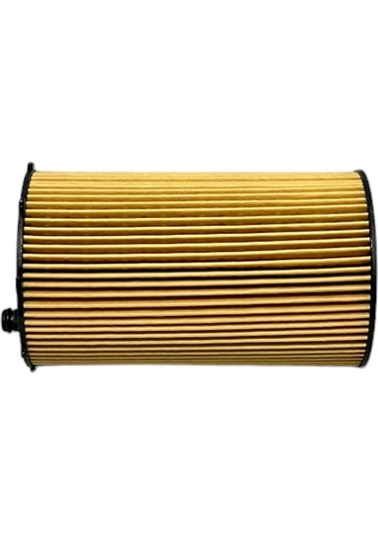 Citroen C5 Iıı, Peugeot 407, 607 (2.7 Hdi 150 Kw) 2004-2010 Yağ Filtresi fırsatları