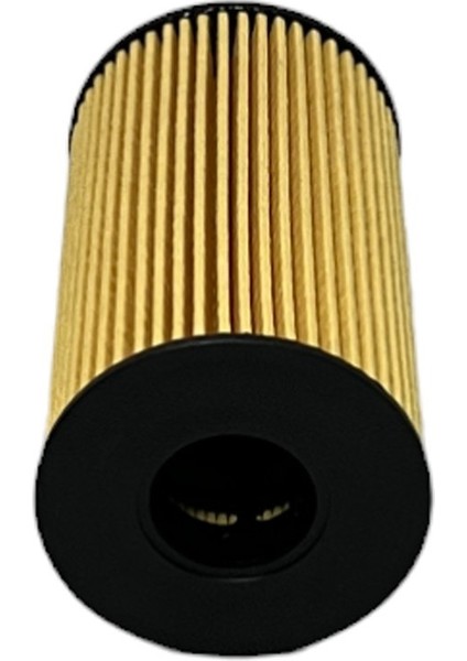 Range Rover Iv (2.0 297 Kw) 2017-2022 Yağ Filtresi fırsatları