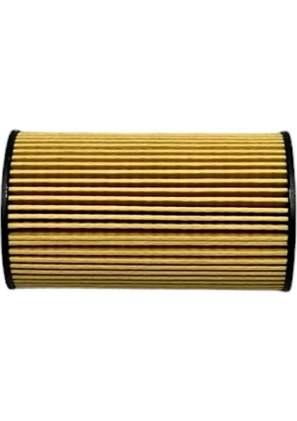 Range Rover Iv (2.0 297 Kw) 2017-2022 Yağ Filtresi indirimleri