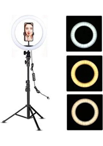 Youtuber LED Tripod Işıklı Telefon Tutucu Makyaj Işığı Ring Light Tripod 10 Inç fiyatları