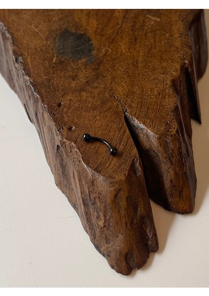 316 L Cerrahi Çelik Kaş Piercingi