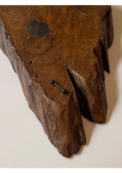 316 L Cerrahi Çelik Kıkırdak Helix Tragus Piercingi