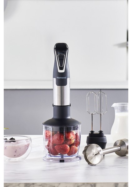 Handmaid 1965H Inox Çelik Bıçaklı Blender Set