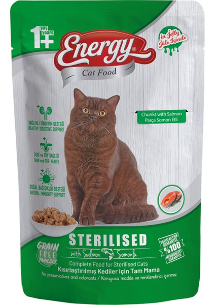 Somonlu Kısırlaştırılmış Islak Kedi Maması Pouch 85 Gram