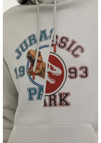 ml Jurassıc 17PK-253 3pr Grı Erkek Sweatshirt