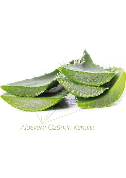 Doğal Kabak Lifli Aloe Vera Sabunu Saklama Keseli 130 gr (Yenilenmiş) modelleri