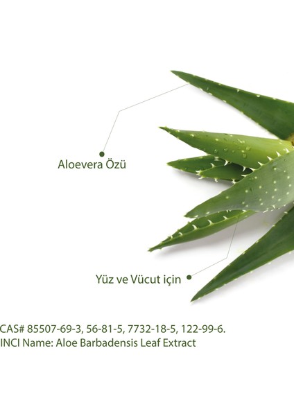 Doğal Kabak Lifli Aloe Vera Sabunu Saklama Keseli 130 gr (Yenilenmiş) fırsatları