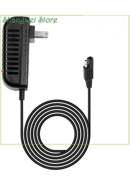 Powerstroke Yamaha Basınçlı Yıkama Makinesi Için Duvar Şarj Cihazı Güç Adaptörü 3100 Psi 2,4 Gpm Dc Güç Şarj Kablosu Kablosu Şebeke Fişi, 5 Feet, Uyumlu Yedek (Yurt Dışından)
