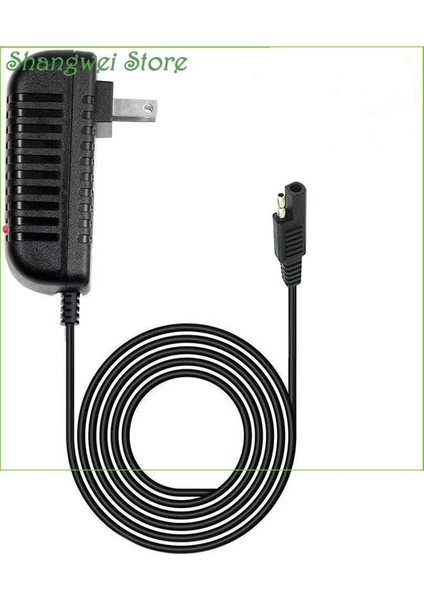 Powerstroke Yamaha Basınçlı Yıkama Makinesi Için Duvar Şarj Cihazı Güç Adaptörü 3100 Psi 2,4 Gpm Dc Güç Şarj Kablosu Kablosu Şebeke Fişi, 5 Feet, Uyumlu Yedek (Yurt Dışından) indirimleri