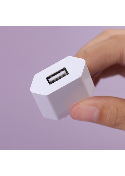 Apple Iphone Cep Telefonu Için 1pc USB Şarj Cihazı Iphone Ab / Abd Tak Duvar Güç Adaptörü Için Şarj (Yurt Dışından) modelleri