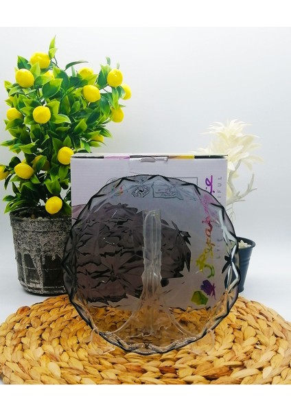 Estrella 6 Lı Pasta Tabağı - Gri