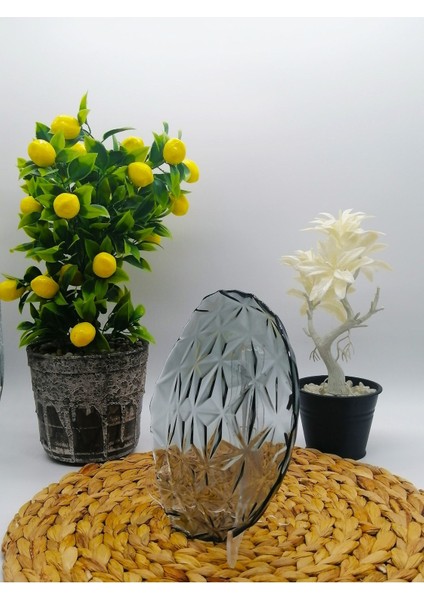 Estrella 6 Lı Pasta Tabağı - Gri modelleri