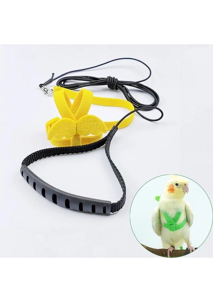 Yeşil Stil 4-M Papağan Uçan Koşum Tasma Takım Pet Kuş Açık Uçuş Eğitim Halat Papağan Malzemeleri Budgie Için Amerika Papağanı Aksesuarları Şeyler (Yurt Dışından) fiyatları
