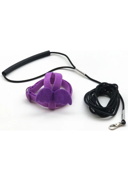 Mor Tarzı No.2 Boyutu Papağan Uçan Koşum Tasma Takım Pet Kuş Açık Uçuş Eğitim Halat Papağan Malzemeleri Budgie Için Amerika Papağanı Aksesuarları Şeyler (Yurt Dışından)