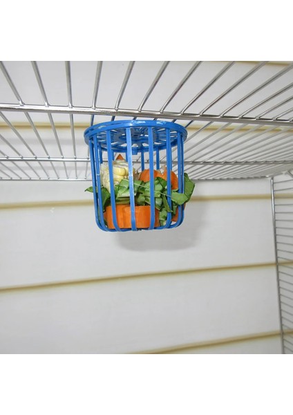 Stilb Stili 1 Parça Açık Soda Kuş Besleyici Otomatik Asılı Plastik Besleme Kasesi Papağan Güvercin Pet Kapalı Besleme Malzemeleri Şişe Ağız Yerleştirme (Yurt Dışından) indirimleri