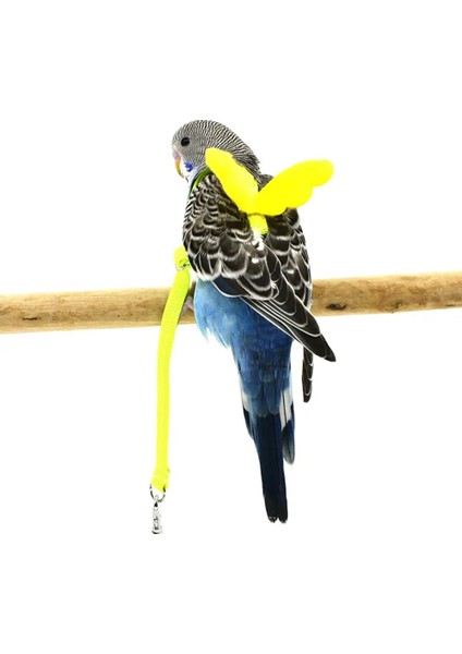 Pet Papağan Kuş Koşum ve Tasma Uçan Halat Sapanlar Açık Eğitim Çekiş Halatı Muhabbet Kuşu Papağan Papağanı Mynah Smal (Yurt Dışından) fiyatları