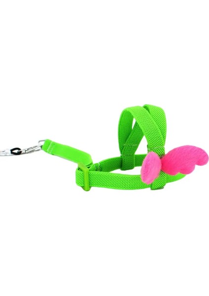 Pet Papağan Kuş Koşum ve Tasma Uçan Halat Sapanlar Açık Eğitim Çekiş Halatı Muhabbet Kuşu Papağan Papağanı Mynah Smal (Yurt Dışından) fırsatları