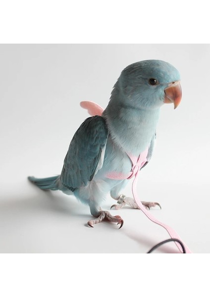 Pembe Tarzı No.5 Boyutu Ayarlanabilir Papağan Kuş Koşum Tasma Seti Anti-Bite Eğitim Koşum Papağanlar Için Açık Uçan Halat Papağan Küçük Kuşlar Için (Yurt Dışından)