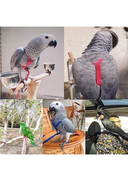 Xl Tarzı Et Papağan Kuş Koşum Tasma Açık Uçan Çekiş Kayışları Anti Uçan Bant Taşınabilir Ayarlanabilir Isırma Önleyici Eğitim Halatı (Yurt Dışından) fiyatları