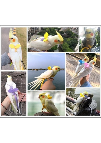 Mavi Stil No.4 Boyutu Ayarlanabilir Papağan Kuş Koşum Tasma Seti Anti-Bite Eğitim Koşum Papağanlar Için Açık Uçan Halat Papağan Küçük Kuşlar Için (Yurt Dışından)