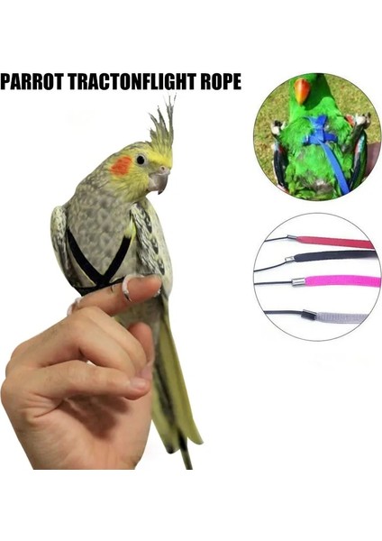 M Tarzı 2022 Ayarlanabilir Papağanlar Kuş Koşum Tasma Anti-Bite Eğitim Halat Açık Uçan Koşum Tasma Papağanlar Koşum Pet Malzemeleri (Yurt Dışından) fırsatları