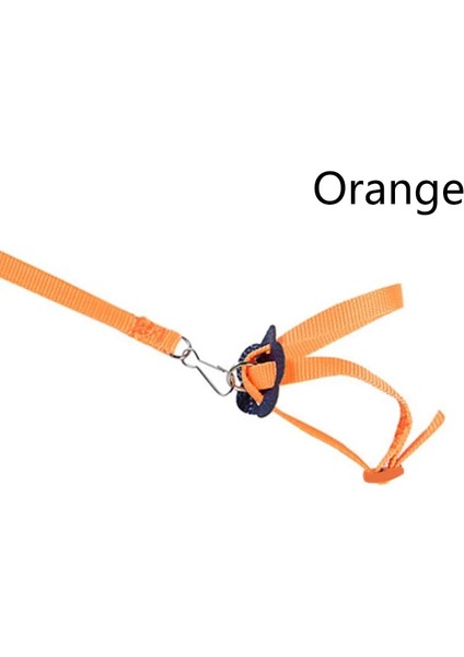 Mavi Stil Anti-Bite Uçan Eğitim Halatı Papağan Kuş Pet Tasma Kitleri Ultralight Koşum Tasma Yumuşak Taşınabilir Pet Oyuncaklar (Yurt Dışından) indirimleri