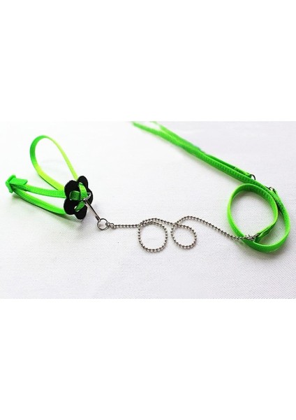 Yeşil Stil Ayarlanabilir Papağan Kuş Koşum Tasma Çok Renkli Hafif Yumuşak Moda Anti-Bite Eğitim Halat Açık Uçan Koşum Tasma (Yurt Dışından)