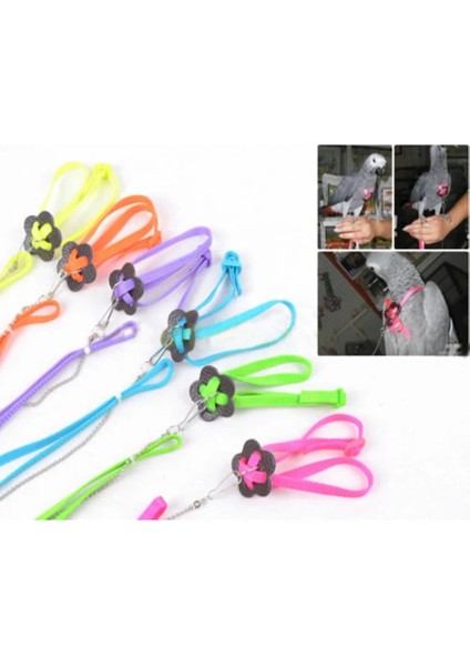 Yeşil Stil Ayarlanabilir Papağan Kuş Koşum Tasma Çok Renkli Hafif Yumuşak Moda Anti-Bite Eğitim Halat Açık Uçan Koşum Tasma (Yurt Dışından) modelleri