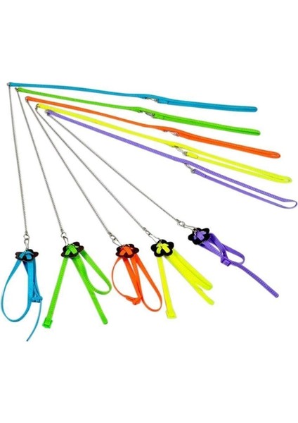 Yeşil Stil Ayarlanabilir Papağan Kuş Koşum Tasma Çok Renkli Hafif Yumuşak Moda Anti-Bite Eğitim Halat Açık Uçan Koşum Tasma (Yurt Dışından) indirimleri