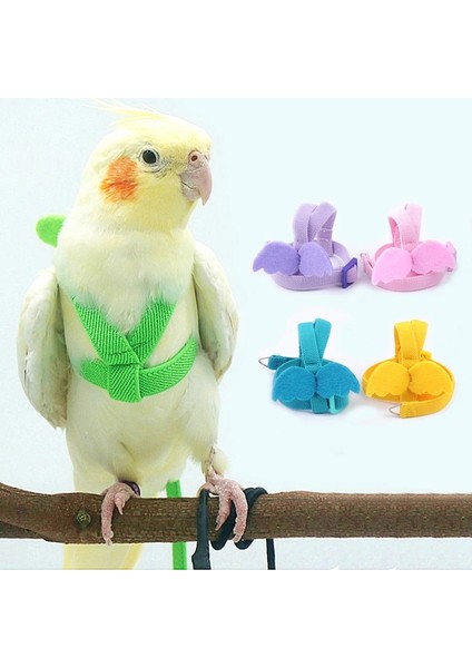 Mavi Stil 3-S Papağan Kuş Koşum Tasma Seti Ayarlanabilir Papağanlar Açık Uçan Halat Anti-Bite Eğitim Koşum Papağan Küçük Kuş (Yurt Dışından)