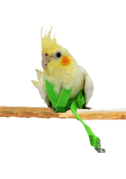 Yeşil Stil Anti-Bite Uçan Eğitim Ipi Papağan Kuş Evcil Hayvan Tasma Kitleri Ultra Hafif Koşum Tasma Yumuşak Taşınabilir Evcil Hayvan Oyuncakları Sıcak Satış #co (Yurt Dışından) fiyatları