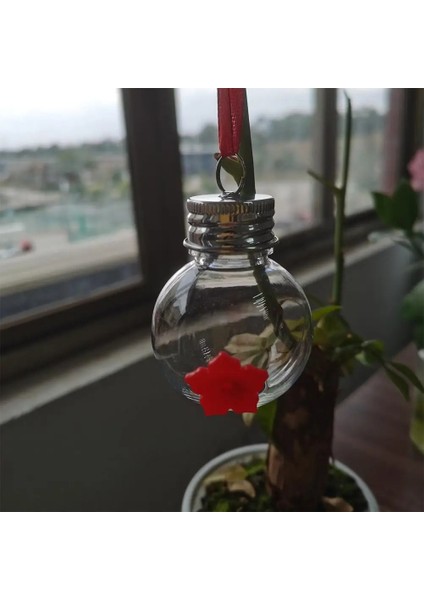 1 Adet Tarzı Tutamak Kuş Sinek Kuşu Besleyici Ampul Pentagram Şekli Suluk Su Plastik Açık Bahçe Pencere Vantuz Kuş Besleyici (Yurt Dışından) modelleri