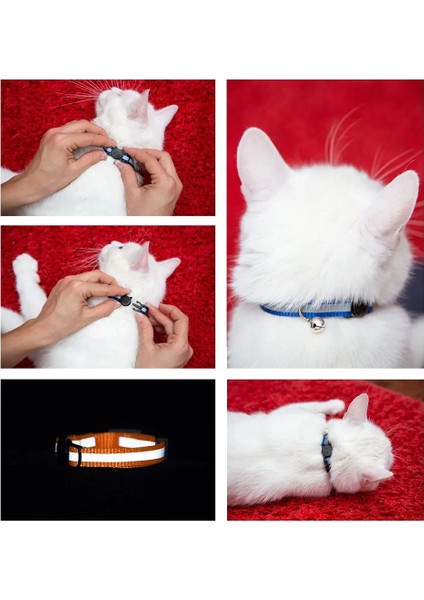 Renk 2 Tarzı 1.0cm 19-32CM Yansıtıcı Çanlı Kedi Tasması Ayarlanabilir Katı ve Güvenli Ayrılabilir Tasmalar Kediler Için Naylon Kitty Ayrılabilir Tasma Evcil Hayvan Aksesuarları (Yurt Dışından) indirimleri