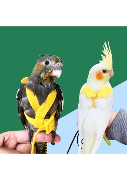 Turuncu Tarzı No.3 Boyutu Ayarlanabilir Pet Papağan Koşum Tasma Açık Uçan Eğitim Halatı Küçük Orta Amerika Papağanı Papağanı Papağanı Muhabbet Kuşu Kayışı Kuş Aksesuarları (Yurt Dışından) fırsatları