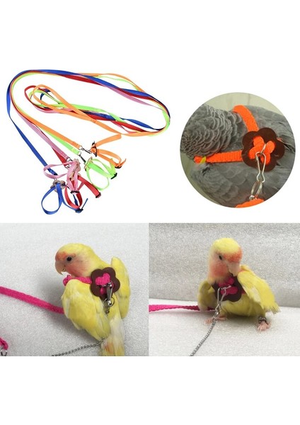 No.4 Tarzı Ayarlanabilir Papağan Tasma Pet Kertenkele Kuşlar Koşum Tasma Açık Eğitim Halat Kemer Yürüyüş Kurşun Kuş Tasma (Yurt Dışından) fiyatları
