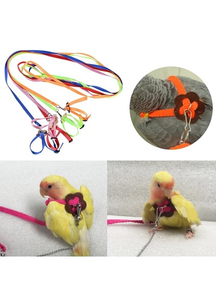 No.5 Tarzı Pet Kuş Koşum ve Tasma Ayarlanabilir Papağan Kuş Koşum Tasma Pet Anti Bite Eğitim Halatı Yumuşak Taşınabilir Pet Oyuncaklar (Yurt Dışından) fırsatları