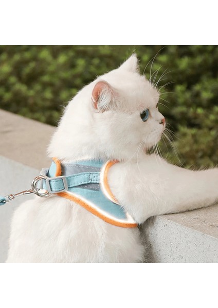 Mavi Stil S Beden Kedi Koşum ve Tasma Seti Chihuahua Yavrusu Için Yansıtıcı Kedi Koşum Yelek Yürüyüş Kurşun Tasma ile Sevimli Süet Pet Kedi Koşumları (Yurt Dışından) fırsatları