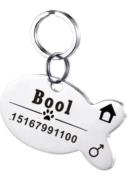 Balık Şerit Tarzı S Beden Kişiselleştirilmiş Pet Kımlık Etiketi Anahtarlık Kazınmış Pet Kımlık Adı Kedi Yavrusu Için Köpek Yaka Etiketi Kolye Anahtarlık Kemik Pet Aksesuarları (Yurt Dışından)