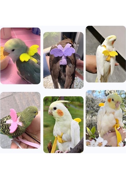 Pembe Stil 2-Xs Papağan Uçan Koşum Tasma Takım Pet Kuş Açık Uçuş Eğitim Halat Papağan Malzemeleri Budgie Için Amerika Papağanı Aksesuarları Şeyler (Yurt Dışından) modelleri