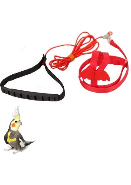 Sarı Stil S Beden Ayarlanabilir Papağan Kuş Koşum Tasma Anti-Bite Eğitim Koşum Papağanlar Için Açık Yürüyüş Uçan Halat Kuş Malzemeleri (Yurt Dışından) modelleri